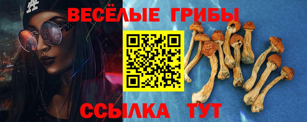 Псилоцибиновые грибы прущие грибы Нефтекамск