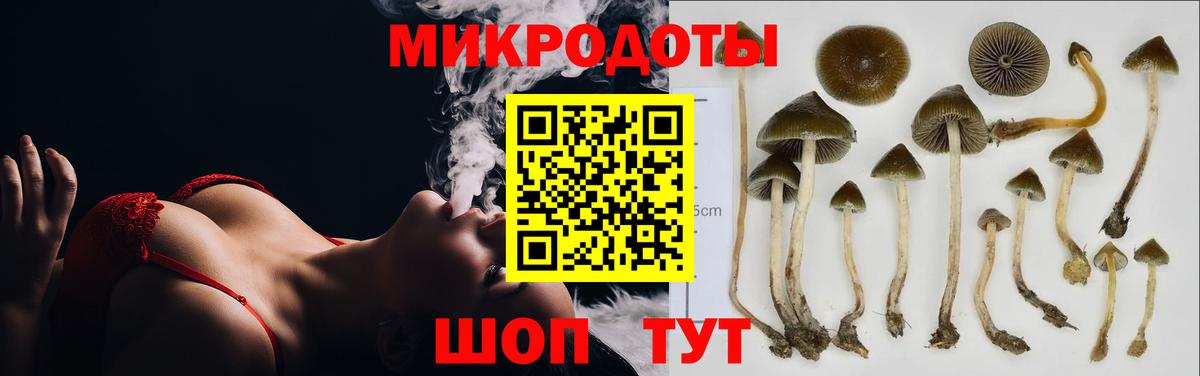 Нефтекамск  Псилоцибиновые грибы прущие грибы  Вход с VPN  Галлюциногенные грибы MAGIC MUSHROOMS 